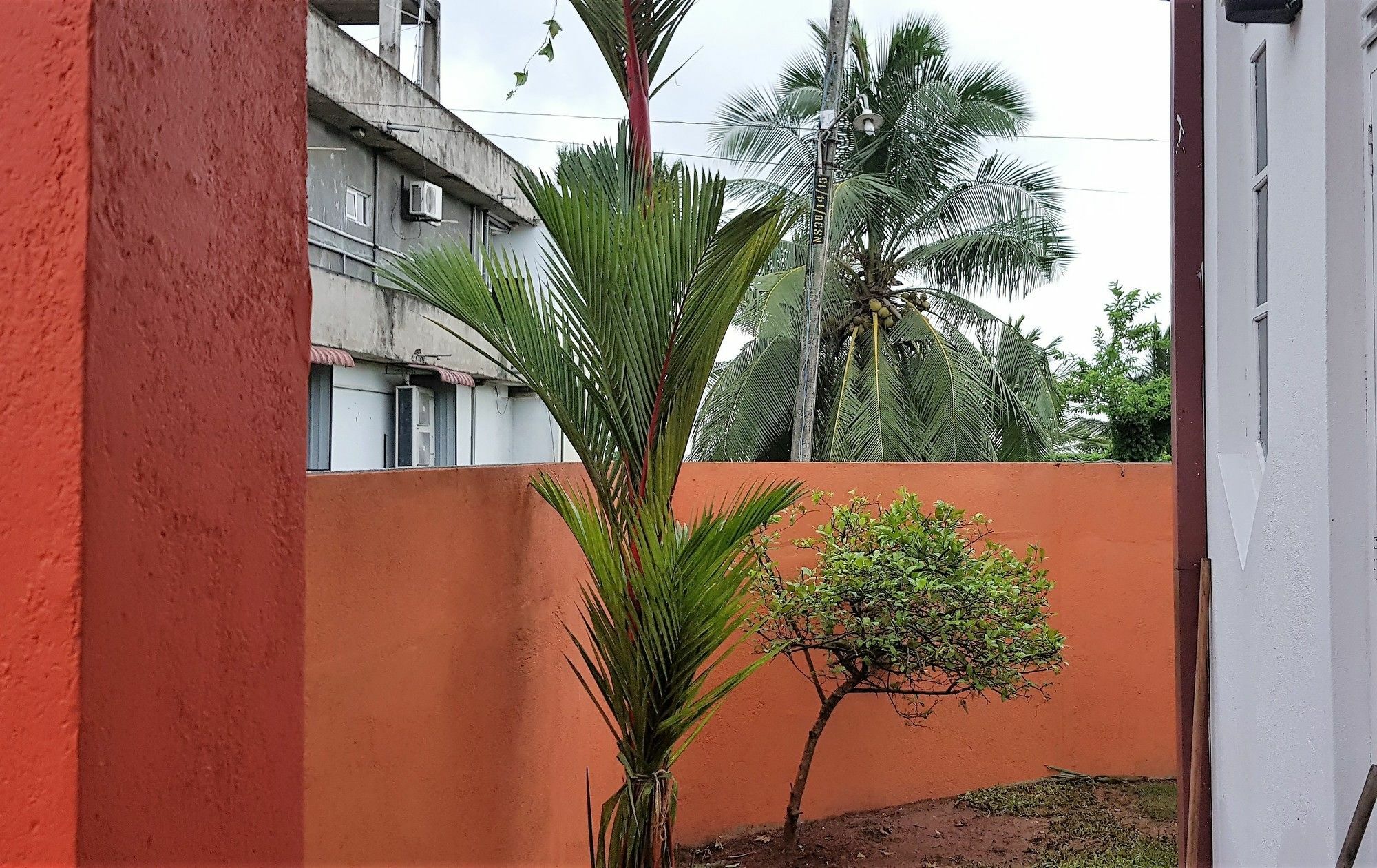Yoyo Airport Hostel Negombo Buitenkant foto
