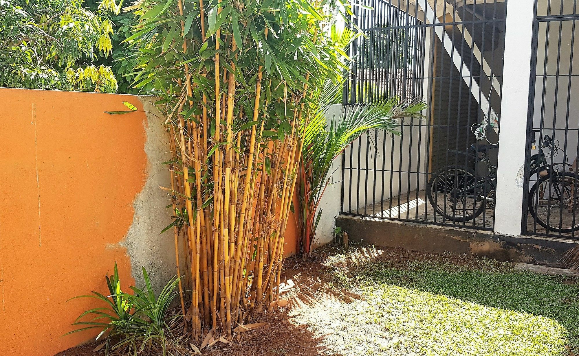 Yoyo Airport Hostel Negombo Buitenkant foto